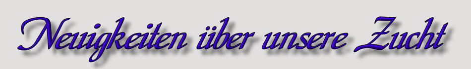 NeuigkeitenZucht